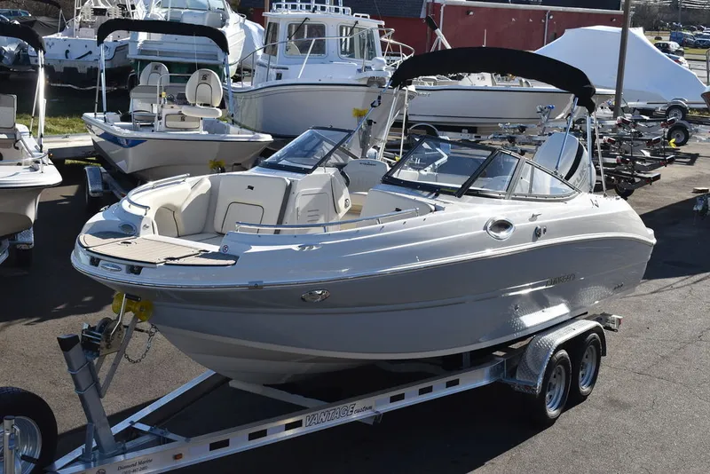 Slide: The Image of Stingray 231DC 2024 - 1