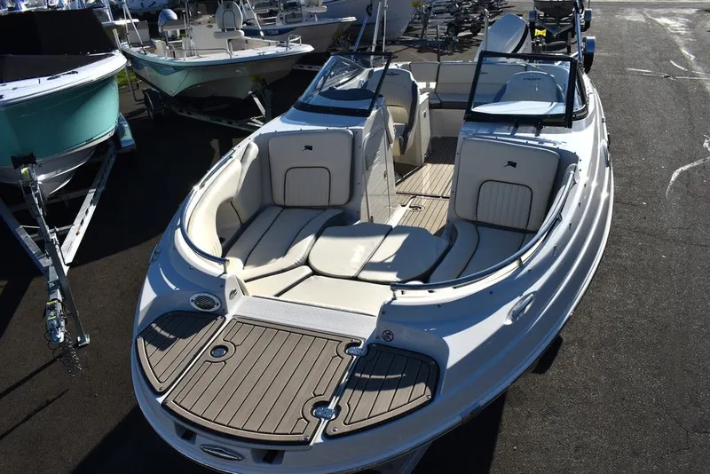 Slide: The Image of Stingray 231DC 2024 - 17