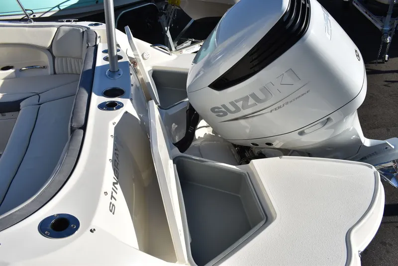 Slide: The Image of Stingray 231DC 2024 - 19