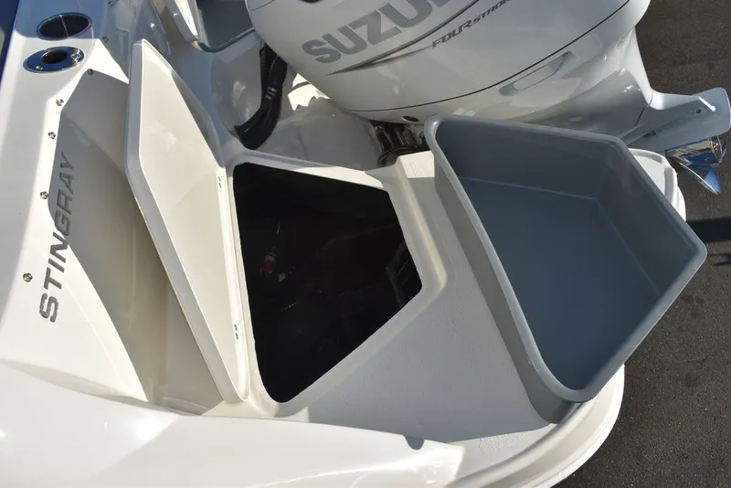 Slide: The Image of Stingray 231DC 2024 - 20