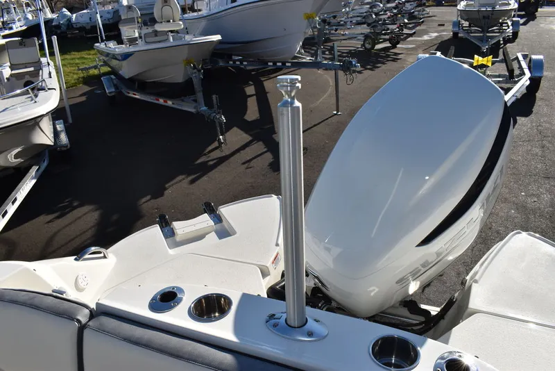 Slide: The Image of Stingray 231DC 2024 - 24