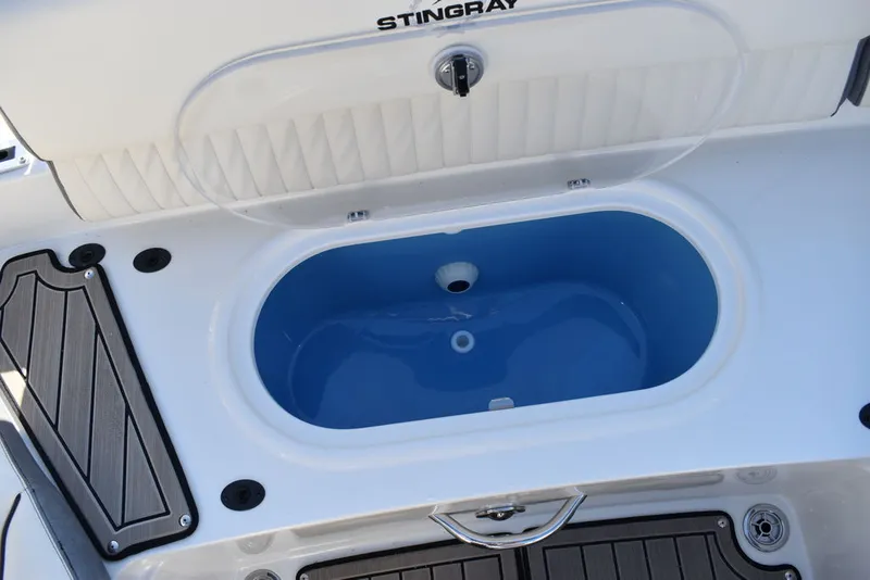 Slide: The Image of Stingray 231DC 2024 - 30