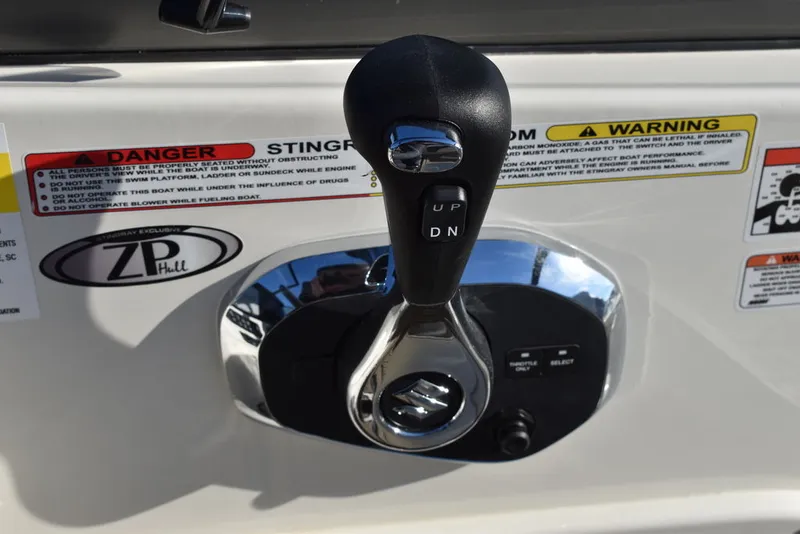 Slide: The Image of Stingray 231DC 2024 - 53