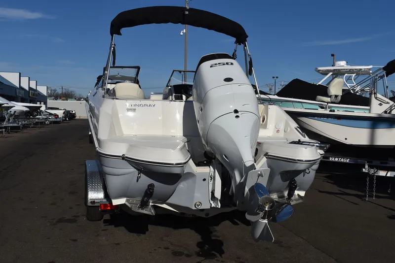 Slide: The Image of Stingray 231DC 2024 - 6