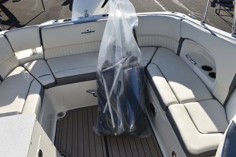 Slide: The Image of Stingray 231DC 2024 - 64