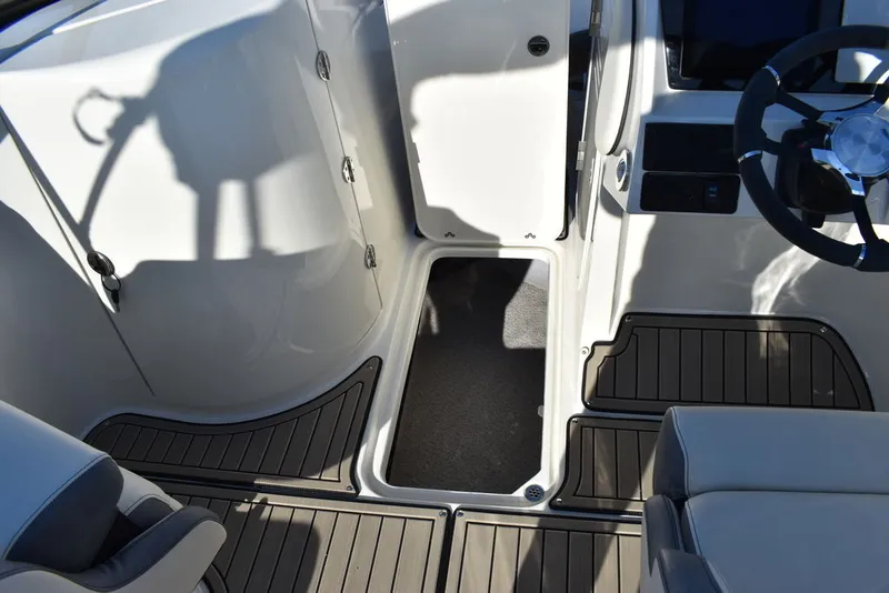 Slide: The Image of Stingray 231DC 2024 - 66