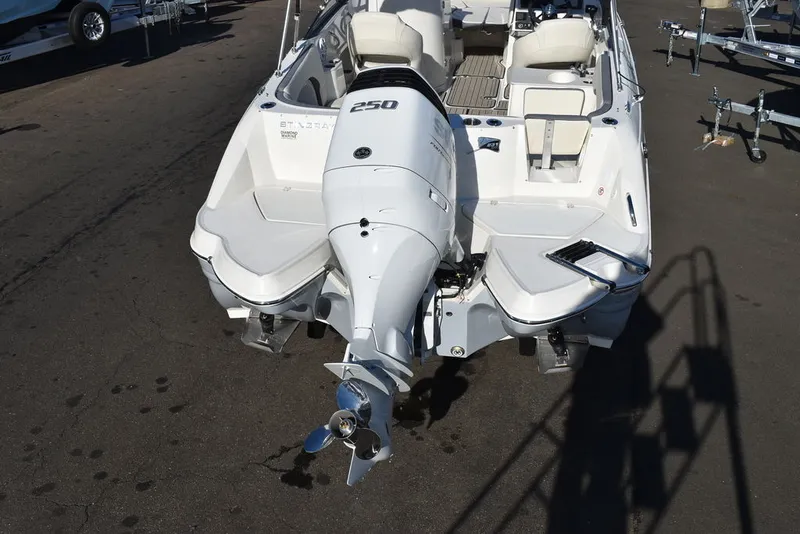 Slide: The Image of Stingray 231DC 2024 - 7