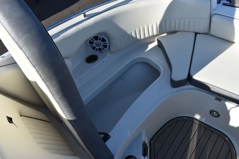 Slide: The Image of Stingray 231DC 2024 - 71