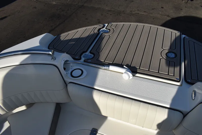 Slide: The Image of Stingray 231DC 2024 - 74