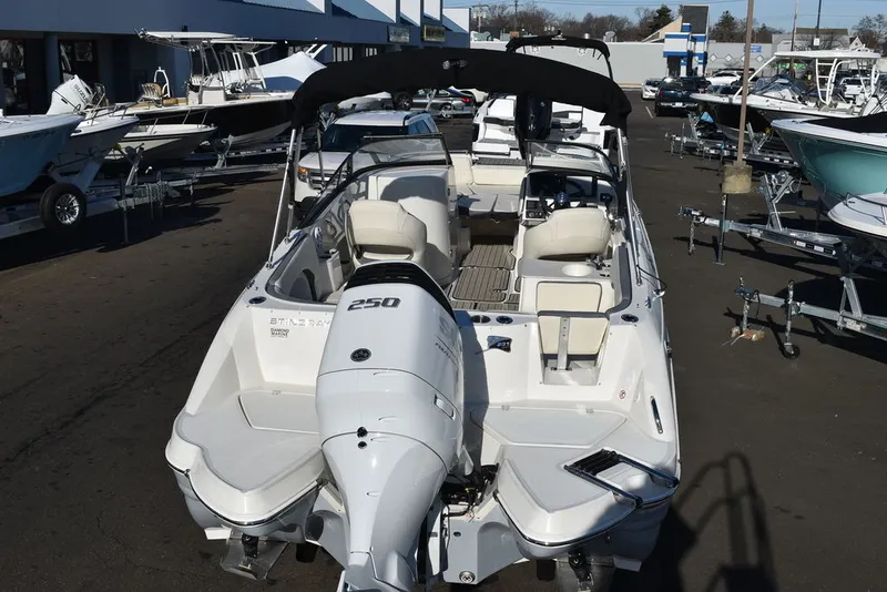 Slide: The Image of Stingray 231DC 2024 - 8