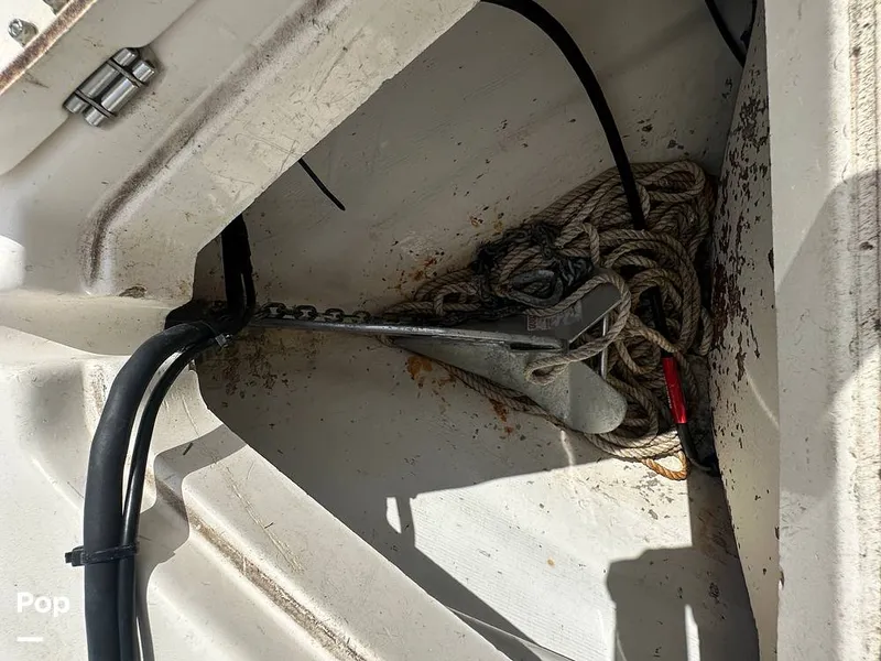 Slide: The Image of Cobia 220 CC 2021 - 16252406