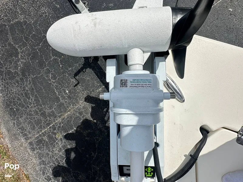 Slide: The Image of Cobia 220 CC 2021 - 16252404