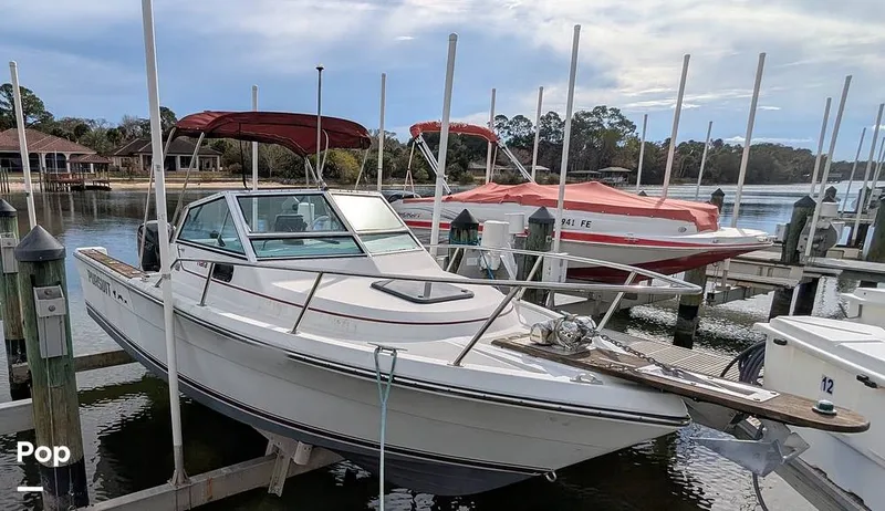 Slide: The Image of Pursuit 2200WA 1986 - 16219336