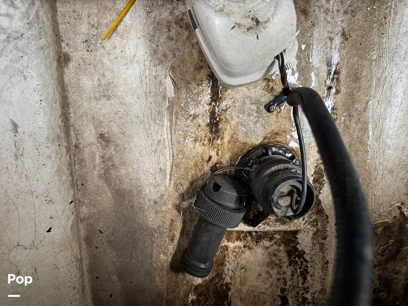 Slide: The Image of Sea Ray 260 Sundeck 2013 - 16267172