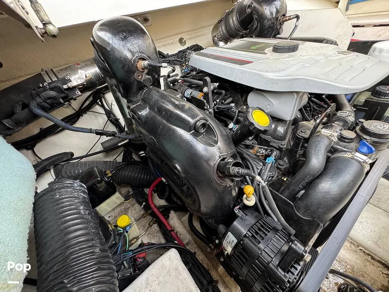 Slide: The Image of Sea Ray 260 Sundeck 2013 - 16267179