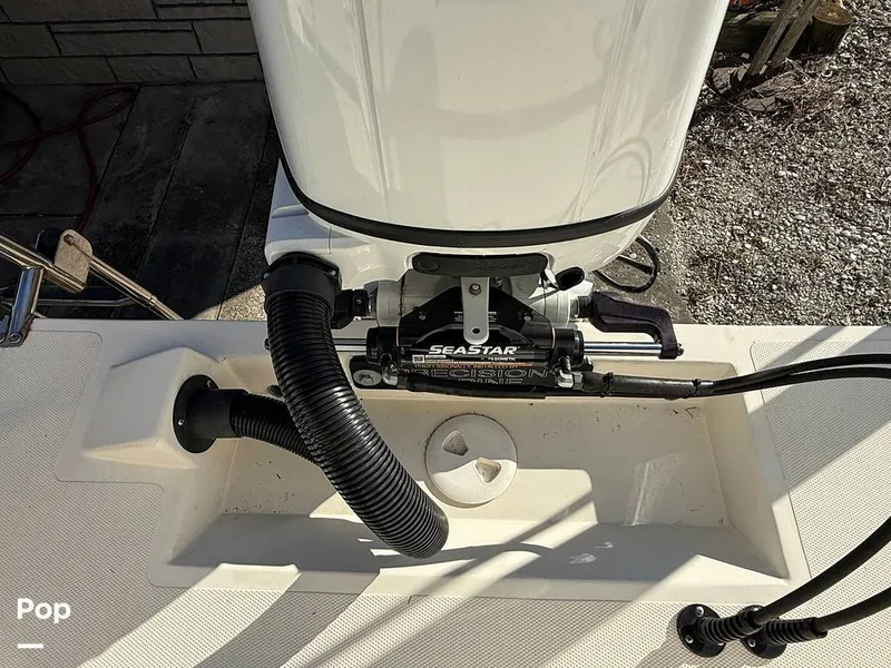 Slide: The Image of Beachcat 20 2019 - 16211853