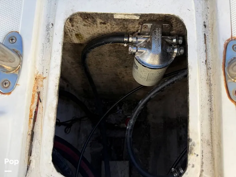 Slide: The Image of Beachcat 20 2019 - 16211855