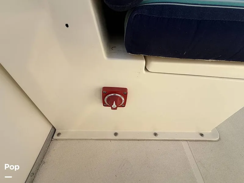 Slide: The Image of Beachcat 20 2019 - 16211858