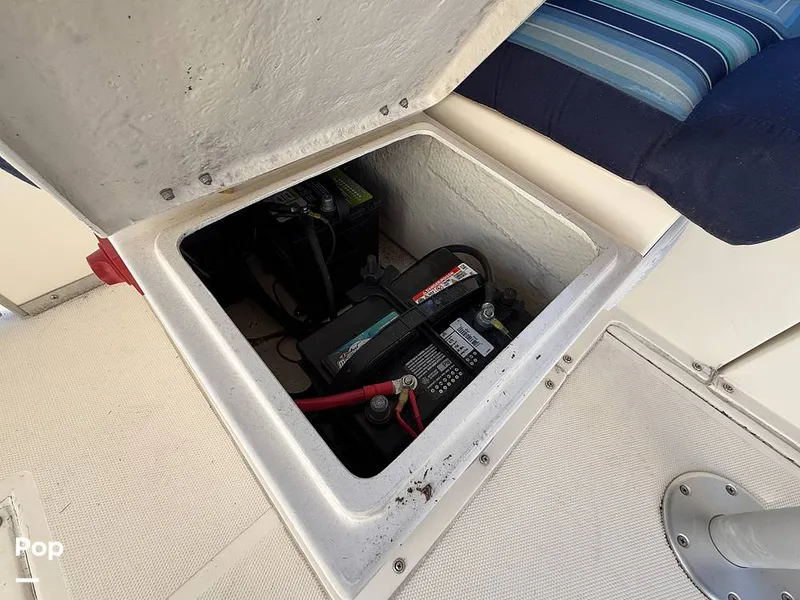 Slide: The Image of Beachcat 20 2019 - 16211862