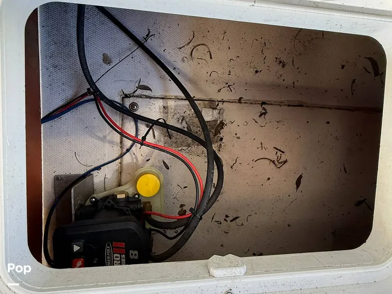 Slide: The Image of Beachcat 20 2019 - 16211864