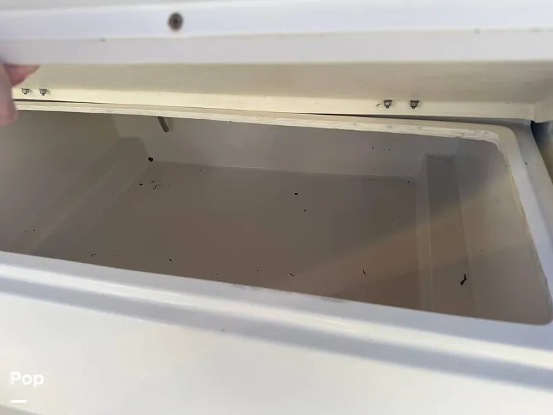 Slide: The Image of Beachcat 20 2019 - 16211866