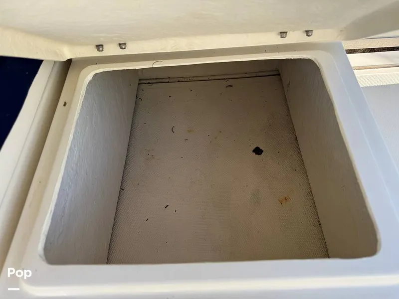 Slide: The Image of Beachcat 20 2019 - 16211867