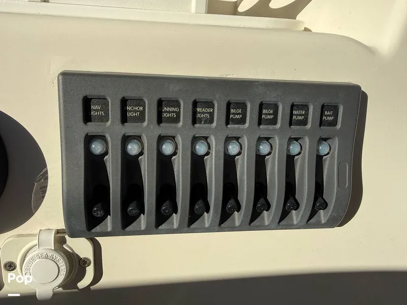 Slide: The Image of Beachcat 20 2019 - 16211877