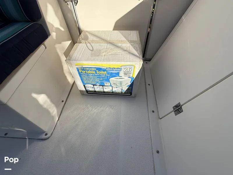 Slide: The Image of Beachcat 20 2019 - 16211883