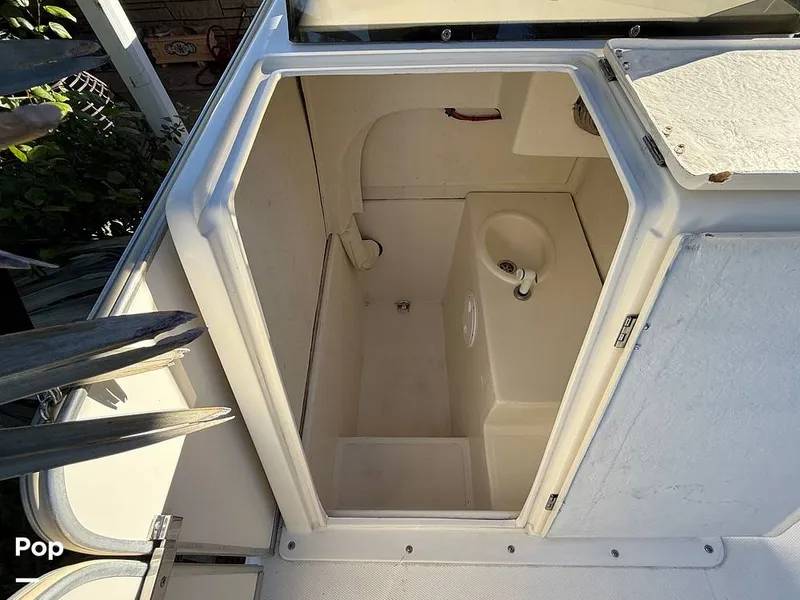 Slide: The Image of Beachcat 20 2019 - 16211886