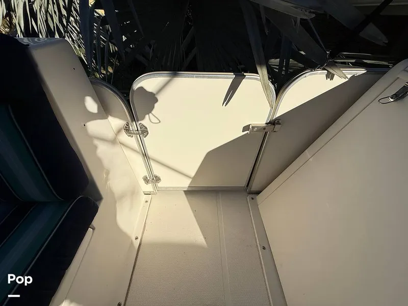 Slide: The Image of Beachcat 20 2019 - 16211890