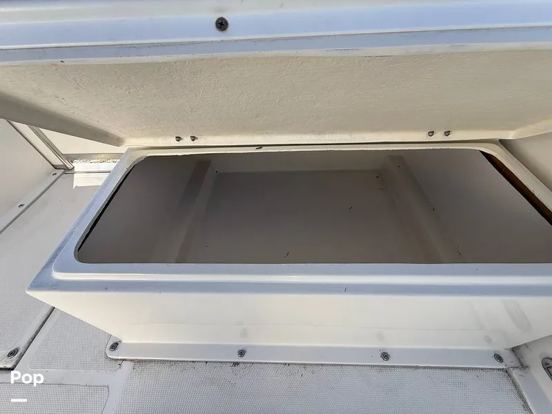 Slide: The Image of Beachcat 20 2019 - 16211896