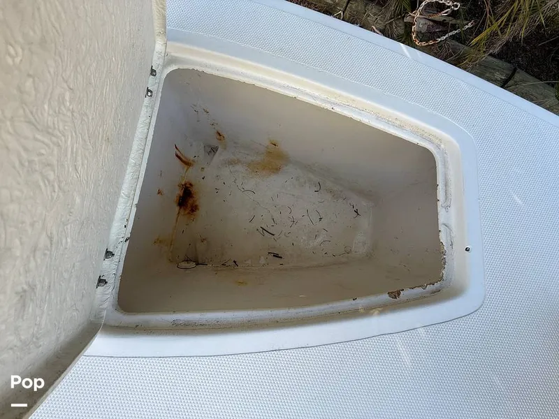 Slide: The Image of Beachcat 20 2019 - 16211901