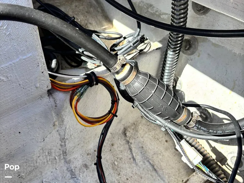 Slide: The Image of Pantera Sport 1991 - 16282794