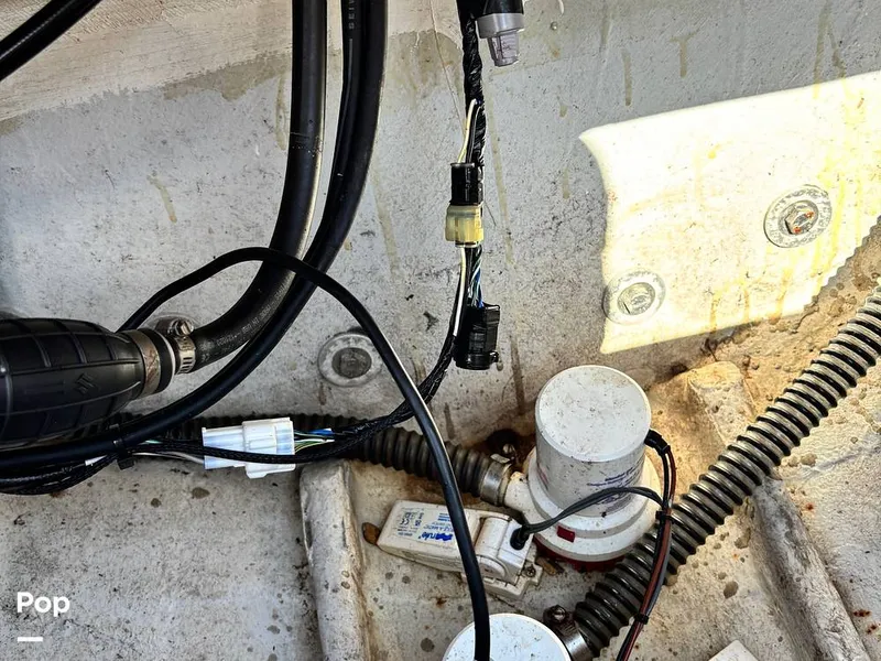 Slide: The Image of Pantera Sport 1991 - 16282806