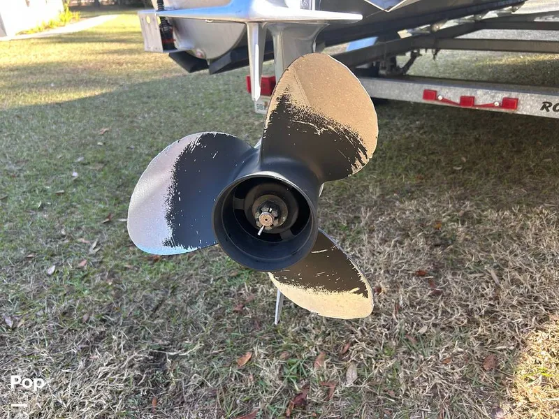 Slide: The Image of Sylvan CR 8522RL 2019 - 16191653