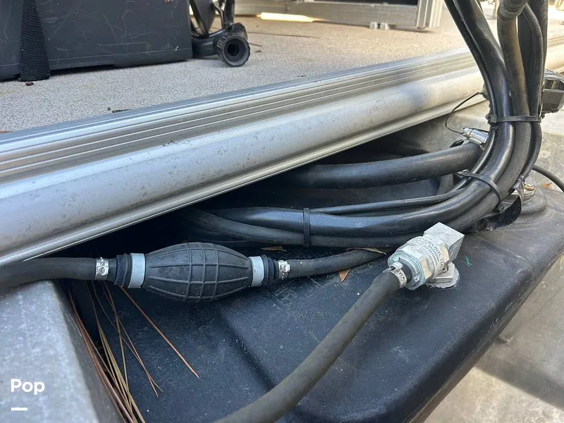 Slide: The Image of Sylvan CR 8522RL 2019 - 16191658