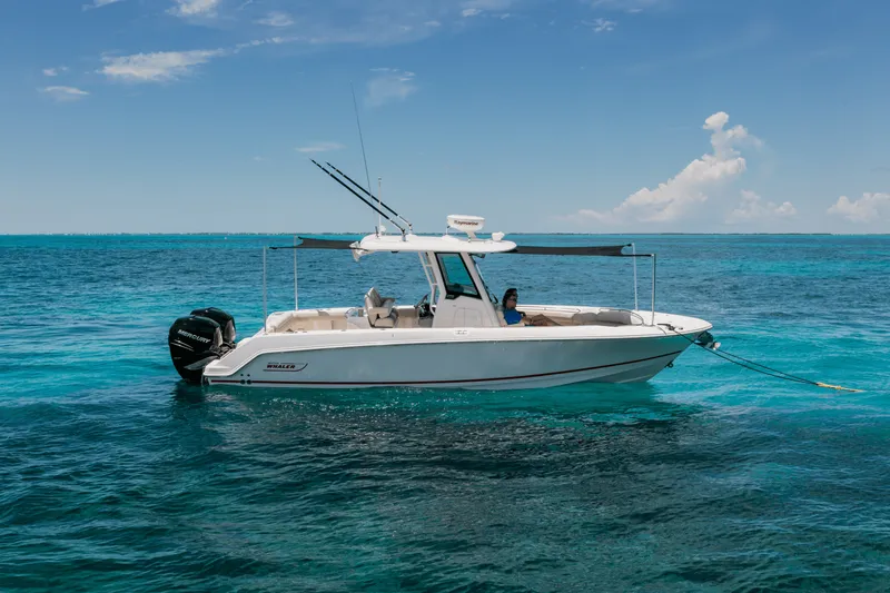 Slide: The Image of Boston Whaler 280 Outrage 2026 - 41