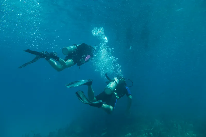 Slide: The Image of Boston Whaler 280 Outrage 2026 - 45