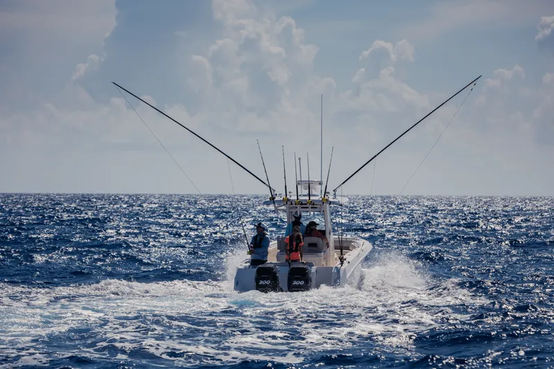 Slide: The Image of Boston Whaler 280 Outrage 2026 - 84