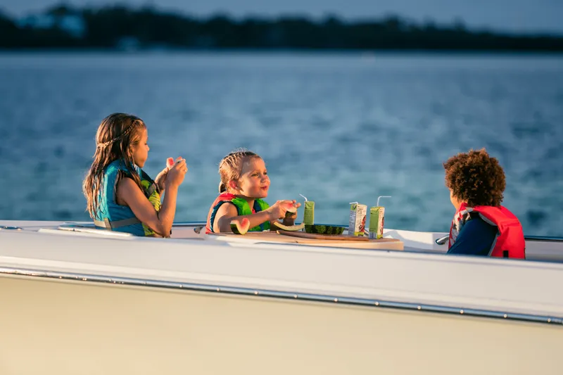 Slide: The Image of Boston Whaler 280 Outrage 2026 - 85