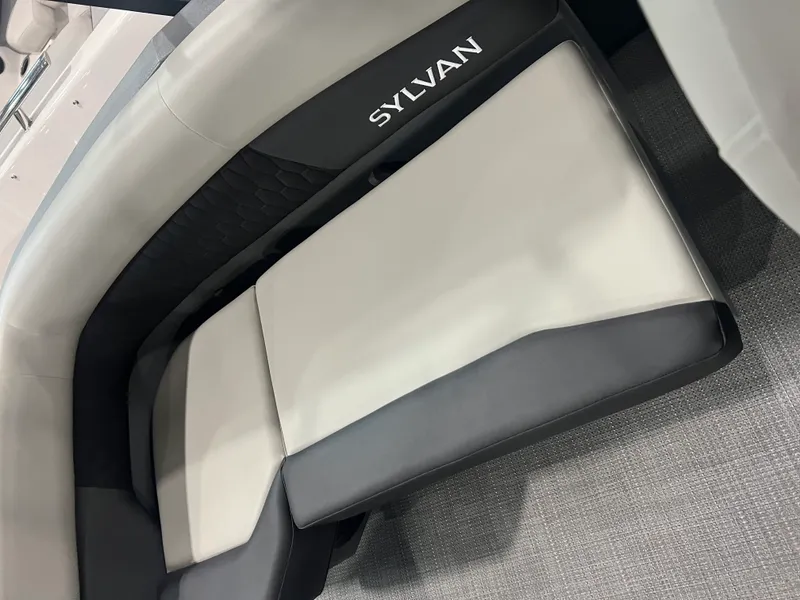 Slide: The Image of Sylvan R20 LZ DH 2026 - 8