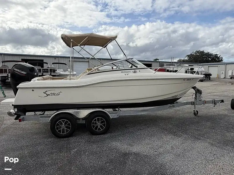 The Image of Scout 210 Dorado 2022 - 16202997