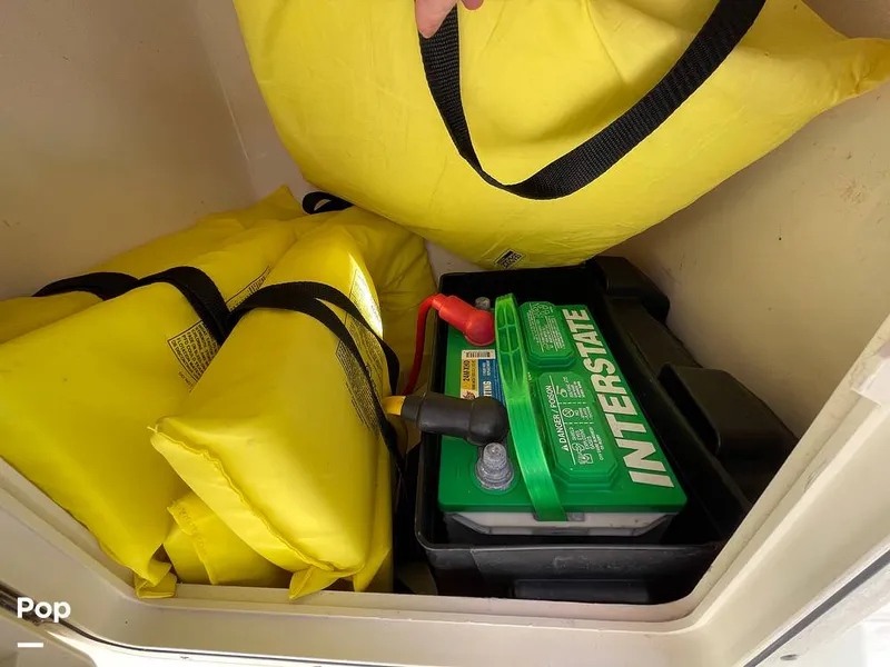 Slide: The Image of Scout 210 Dorado 2022 - 16201584