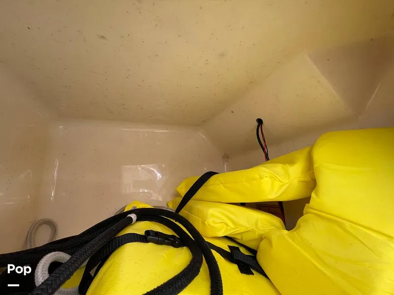 Slide: The Image of Scout 210 Dorado 2022 - 16201591