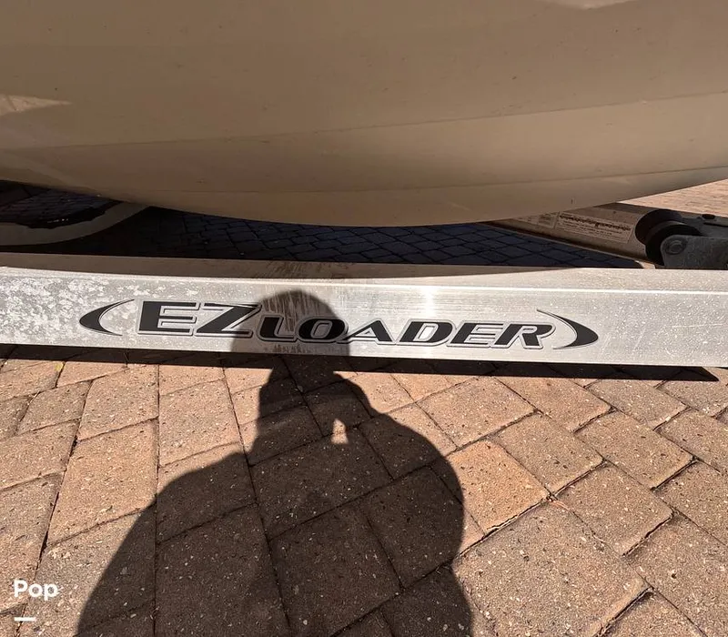 Slide: The Image of Stingray 201DS 2020 - 16188725