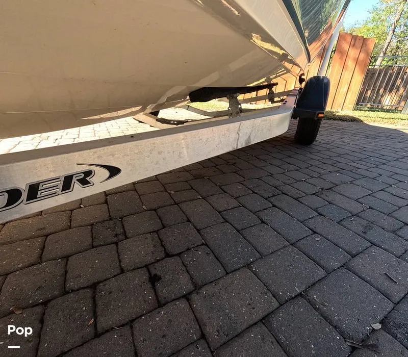 Slide: The Image of Stingray 201DS 2020 - 16188733