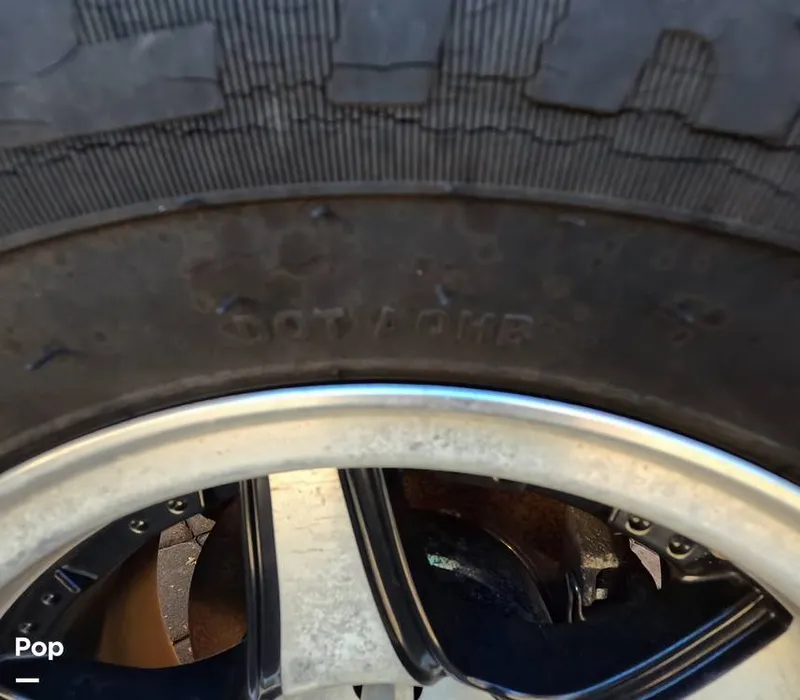 Slide: The Image of Stingray 201DS 2020 - 16188736