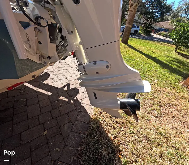 Slide: The Image of Stingray 201DS 2020 - 16188740