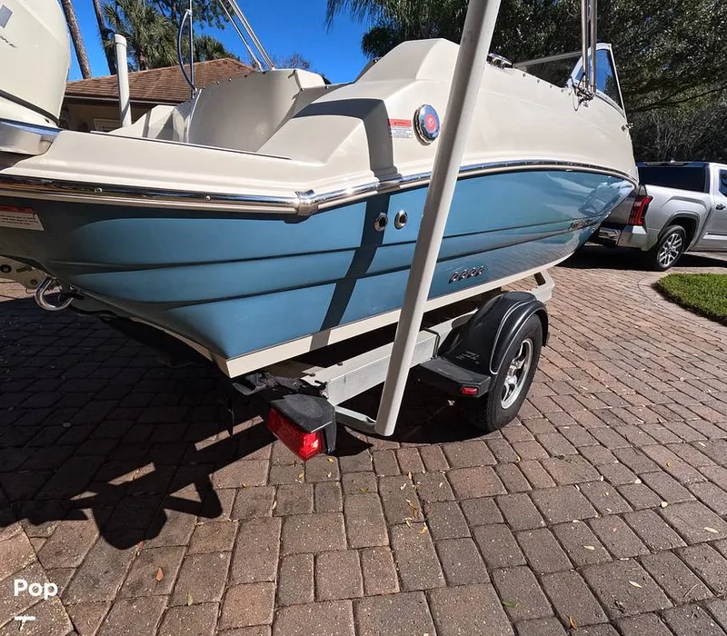 Slide: The Image of Stingray 201DS 2020 - 16188745