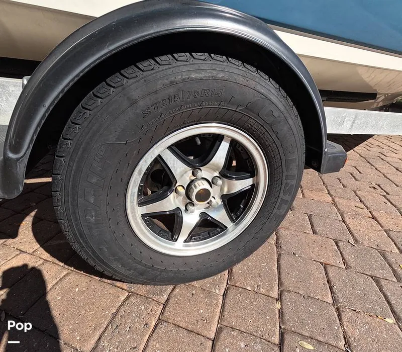 Slide: The Image of Stingray 201DS 2020 - 16188746